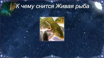 К чему снится Живая рыба (Сонник)