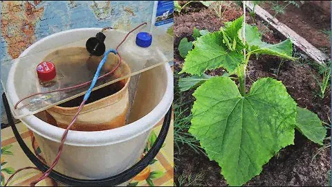 💥 "Живая" вода - 6 литров 🌊 за один раз!  Урожай 🥒🍅🍆🥕 100% (live and dead water).